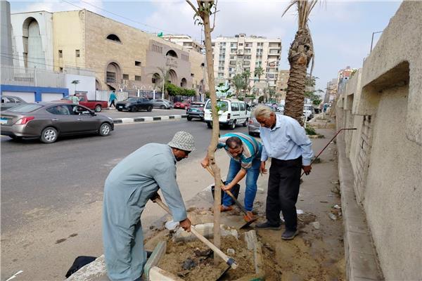 استمرار مبادرة "100 مليون شجرة"بمدن الشرقية
