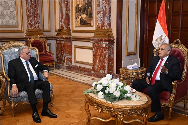 المستشار عصام  فريد و المستشار أبو الحسين قايد