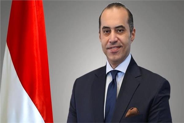 محمود فوزي