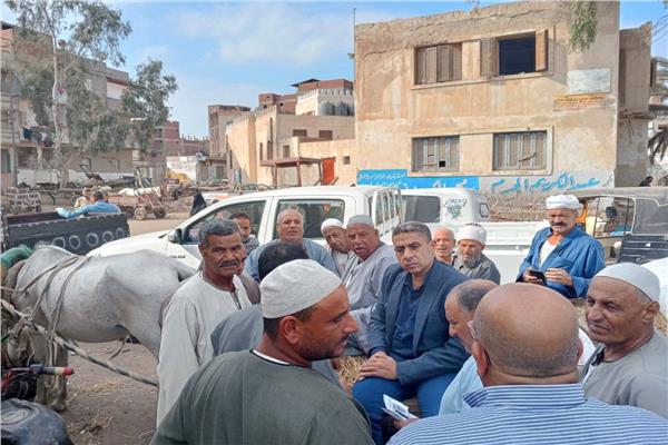 صورة موضوعية