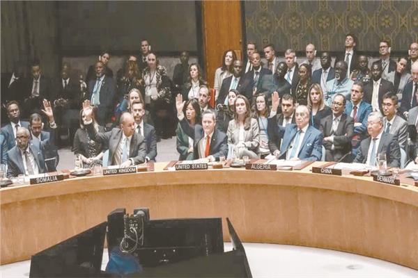 جانب من التصويت فى مجلس الأمن الدولى على الاقتراح الأمريكى