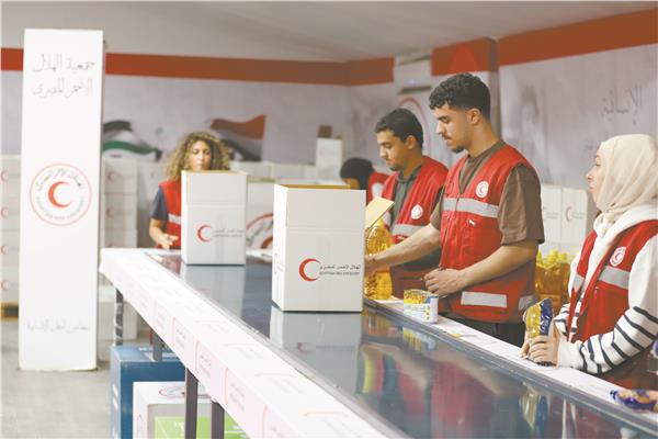 طلاب الجامعة الأمريكية يشاركون فى تعبئة المساعدات