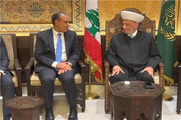 لقاء د. بدر عبد العاطي وزير الخارجية والهجرة بالشيخ عبد اللطيف دريان مفتي لبنان