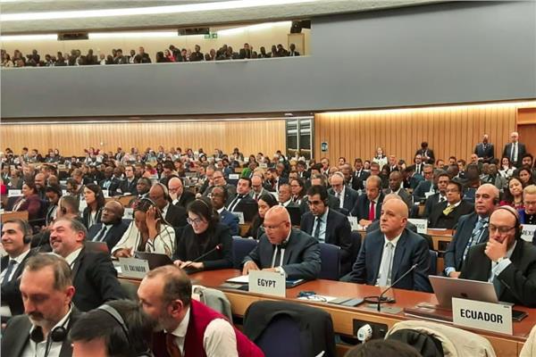 الفريق كامل الوزير خلال انتخابات المنظمة