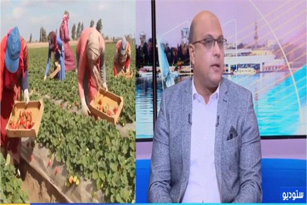 الدكتور عماد عوض منسق عام مراكز الخدمات الزراعية 