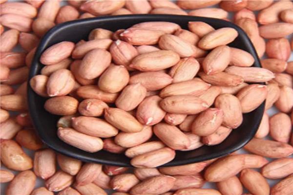 الفول السوداني