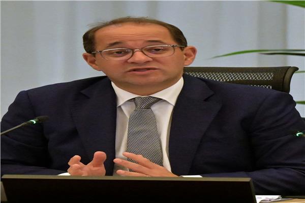 وزير المالية
