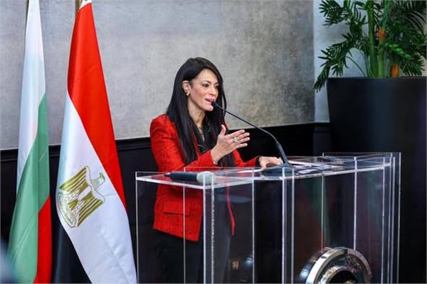وزيرة التخطيط والتنمية الاقتصادية 