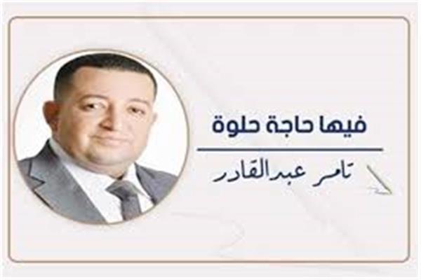 تامر عبد القادر