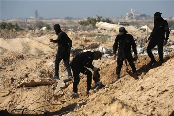 صورة أرشيفية