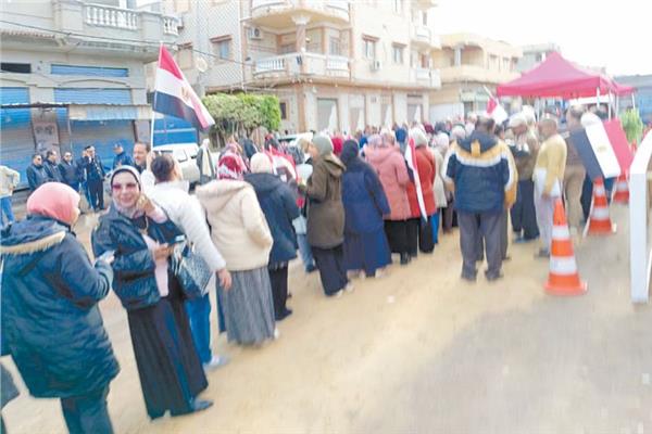 انتخابات الإعادة بدائرة المنتزه بالإسكندرية