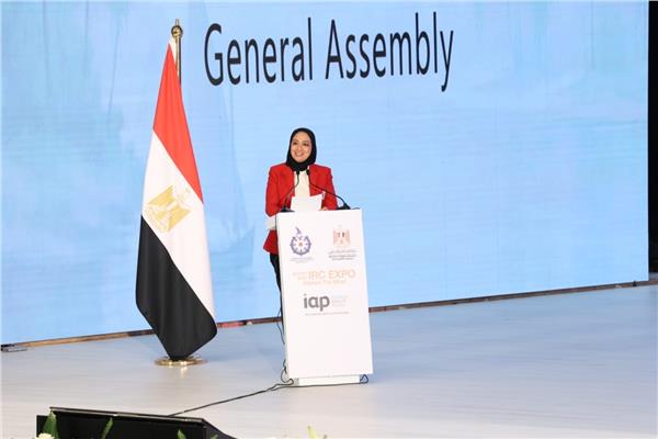 الدكتورة جينا الفقي القائم بأعمال رئيس أكاديمية البحث العلمي والتكنولوجيا