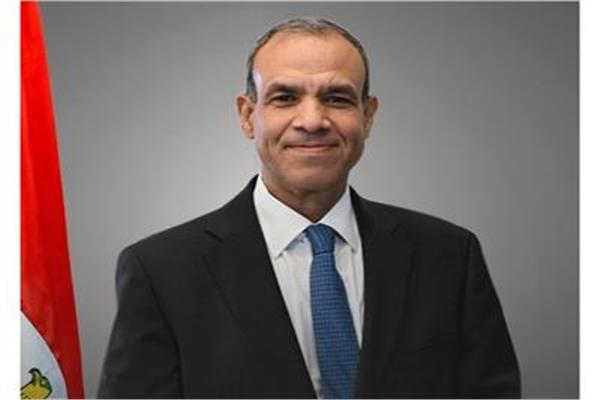 بدر عبد العاطي وزير الخارجية