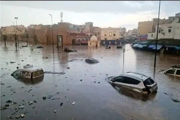 صورة موضوعية
