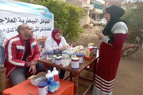 الزراعة" تطلق قافلة بيطرية علاجية  بالمنوفية
