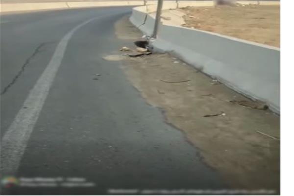 البوست المتداول