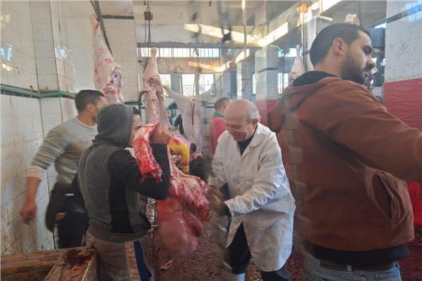  بيطري دمياط