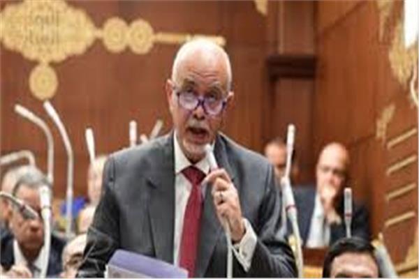 النائب المهندس حازم الجندي، عضو مجلس الشيوخ