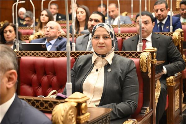  النائبة مروة قنصوة أمين سر لجنة الطاقة والبيئة بمجلس الشيوخ