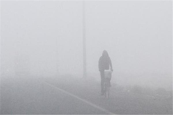 صورة موضوعية