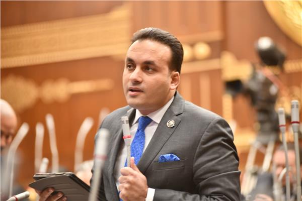 النائب عمرو فهمي عضو مجلس النواب