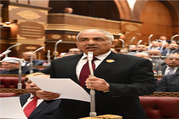 النائب  أحمد العوضي، وكيل أول مجلس الشيوخ