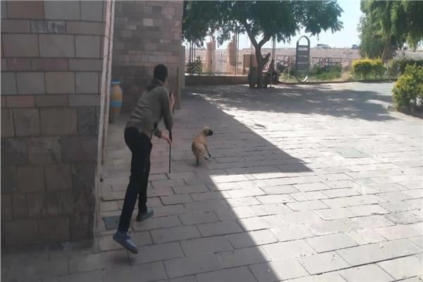 صورة موضوعية