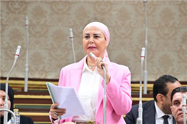  النائبة أمل سلامة