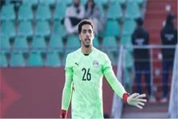 مصطفى شوبير