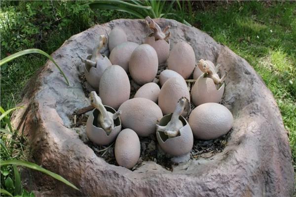 صورة موضوعية