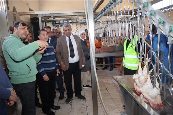 المجزر الآلي للدواجن بالجامعة