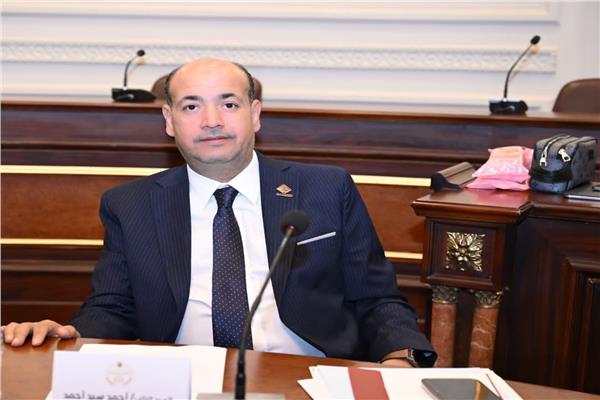  النائب أحمد سيد، أمين سر لجنة السياحة في مجلس الشيوخ 