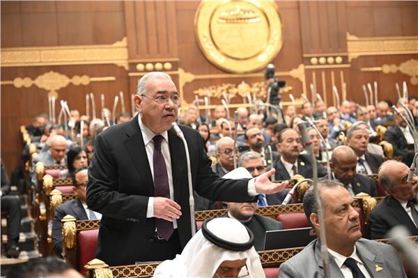 النائب الدكتور عصام خليل عضو مجلس الشيوخ