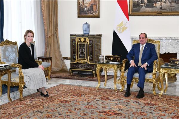 السيد الرئيس خلال اللقاء