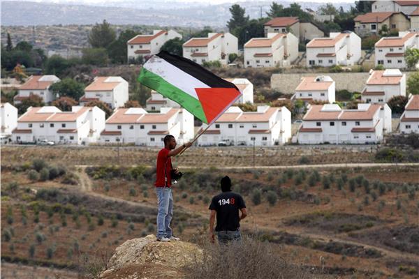 مواطن فلسطيني يرفع علم بلاده في وجه الاستيطان
