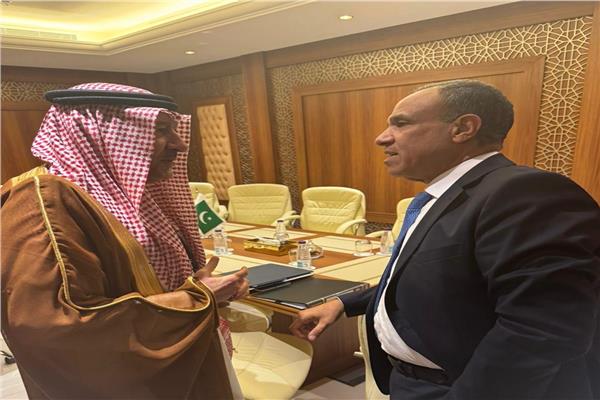 وزير الخارجية والهجرة وشئون المصريين بالخارج يلتقى نائب وزير الخارجية السعودي.