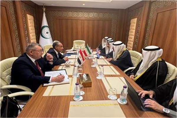 وزير الخارجية خلال لقائه مع نظيره الصومالى