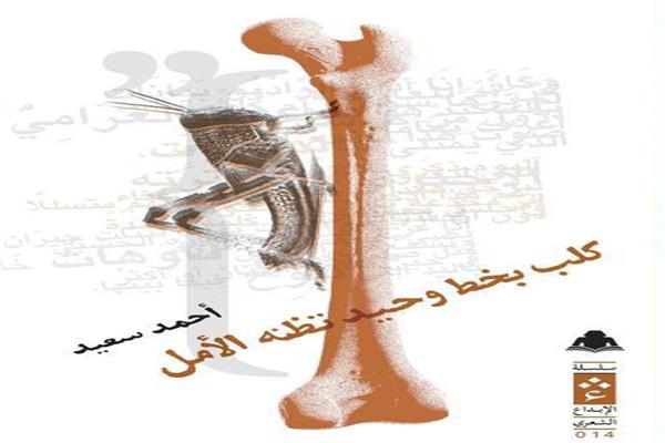 كلب بخط وحيد تظنه الأمل