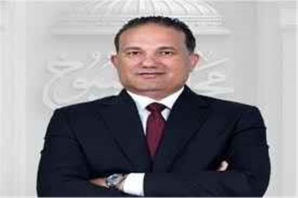 تامر عبد الحميد عضو مجلس الشيوخ