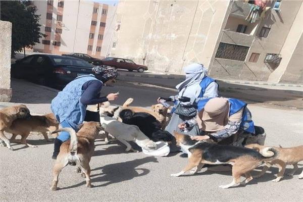 صورة موضوعية