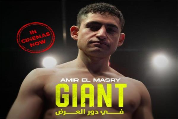 الفنان أمير المصري