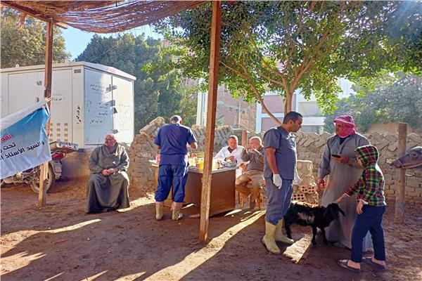 قوافل بيطرية مجانية لدعم صغار المربين ببنى سويف