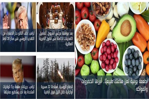صورة موضوعية