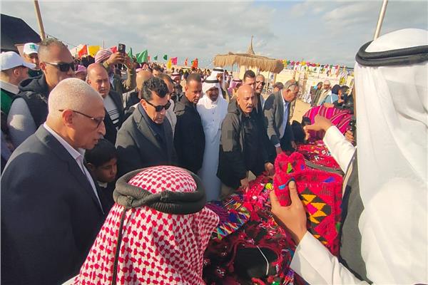 وزير الشباب يحضر ختام مهرجان سباقات الهجن بالعريش 