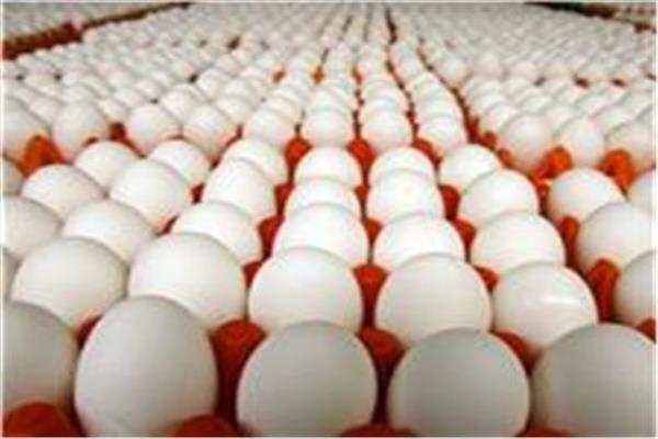  أسعار البيض اليوم الخميس