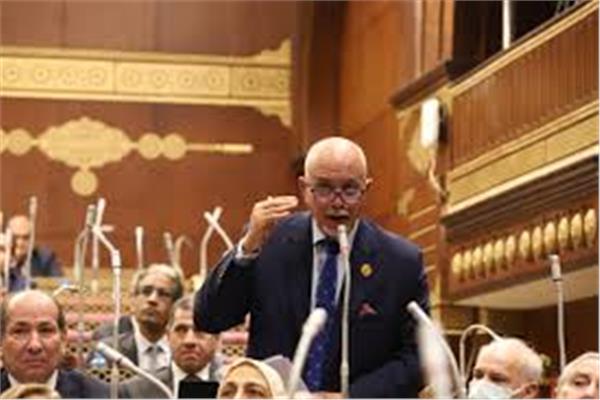 النائب حازم الجندي