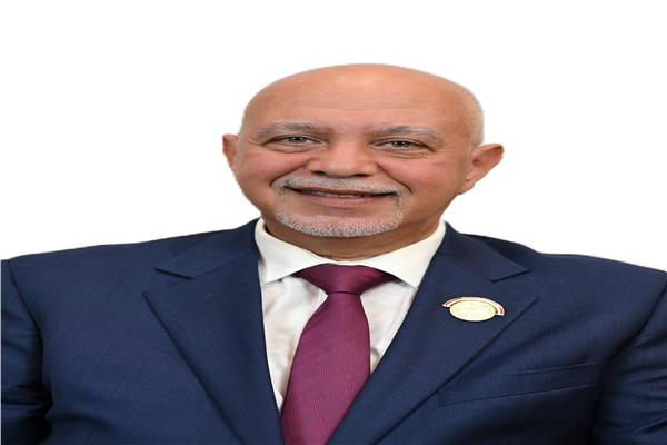 النائب المهندس حازم الجندي، عضو مجلس الشيوخ