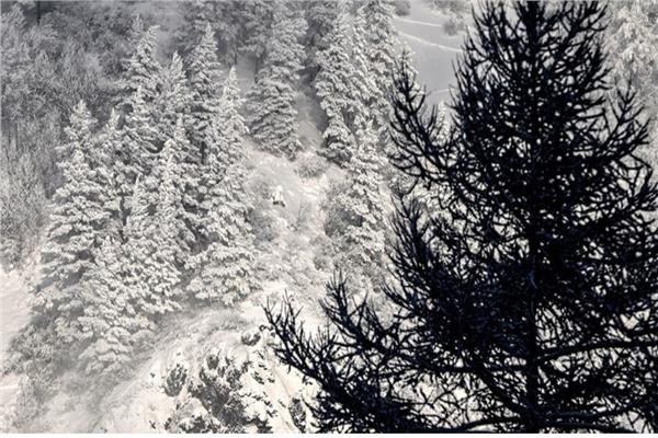 صورة تعبيرية