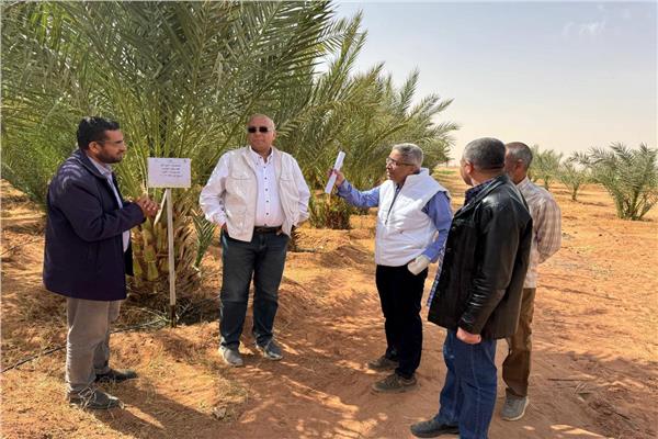 الزراعة تتفقد الأنشطة البحثية بمحطة بحوث الصحراء في توشكى