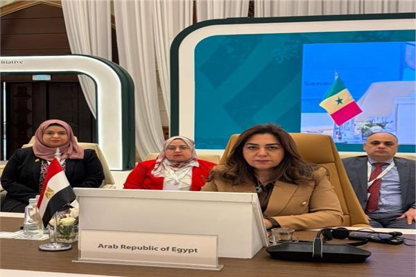 وزيرة التنمية المحلية